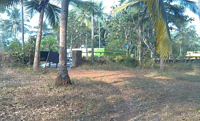 Commercial Land Original land  commercial / Agriculture / Residential Land for sale In Kunnamagalm, Calicut  